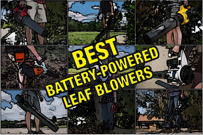 Don’t Buy a Battery Leaf Blower Without Checking These Factors First