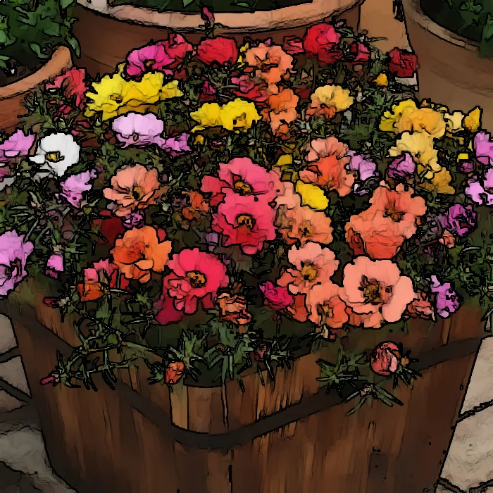All You Need to Know About Growing Moss Rose in Pots