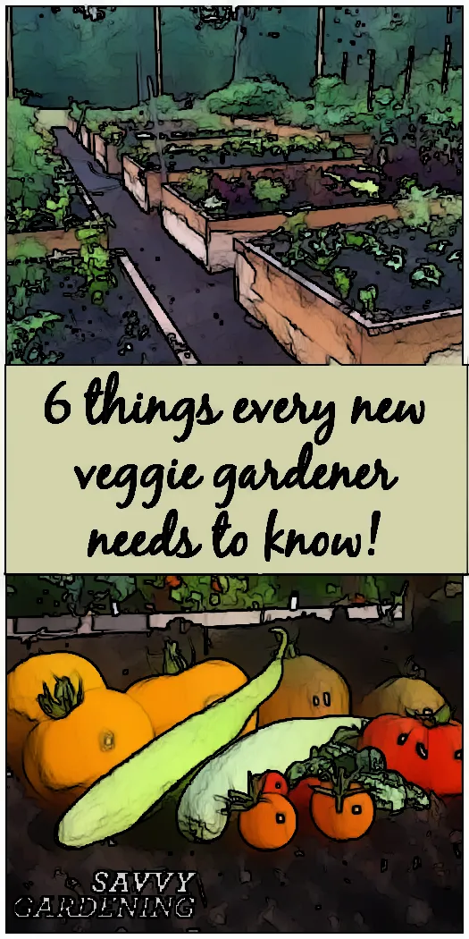 Everything You Need to Know Before Taking Up Gardening