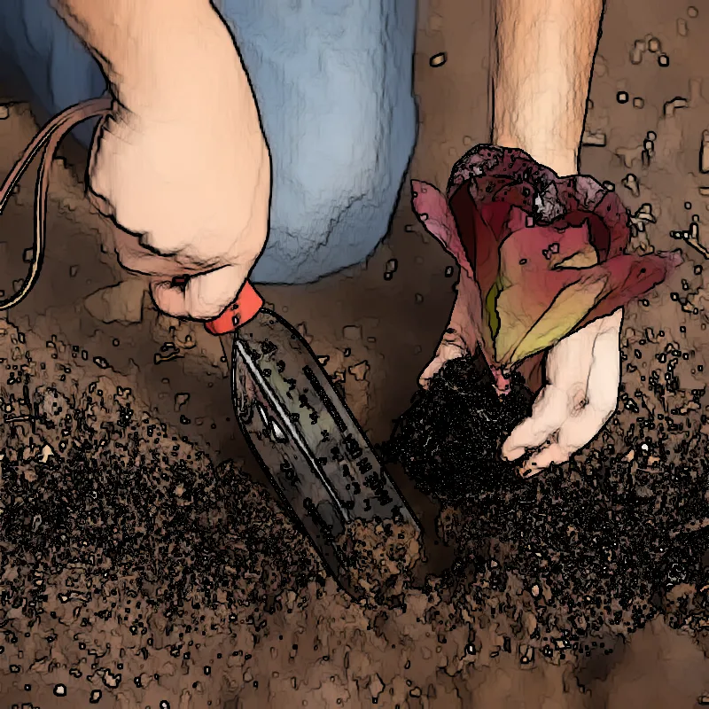 Exploring the Versatility of the Transplanting Trowel in Gardening