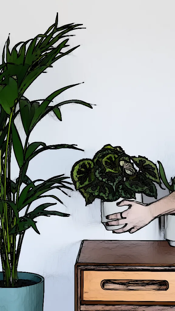 Gardening Made Easy: Unlock the Benefits of Next Day House Plant Delivery