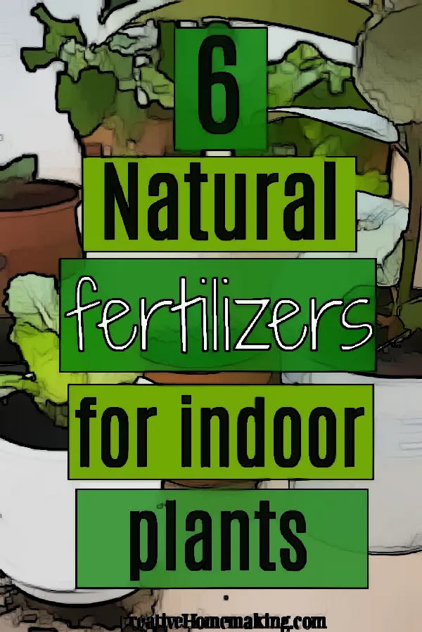 Gardening: The Benefits of Natural Fertilizers for Your Indoor Water Plants