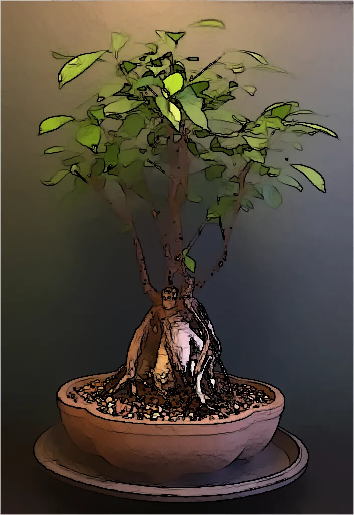 The Do’s and Don’ts of Caring for a Ficus Bonsai: Expert Tips for Gardeners