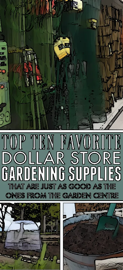 Uncover the Hidden Gems of Dollarama Gardening Supplies and Make Your Garden Pop