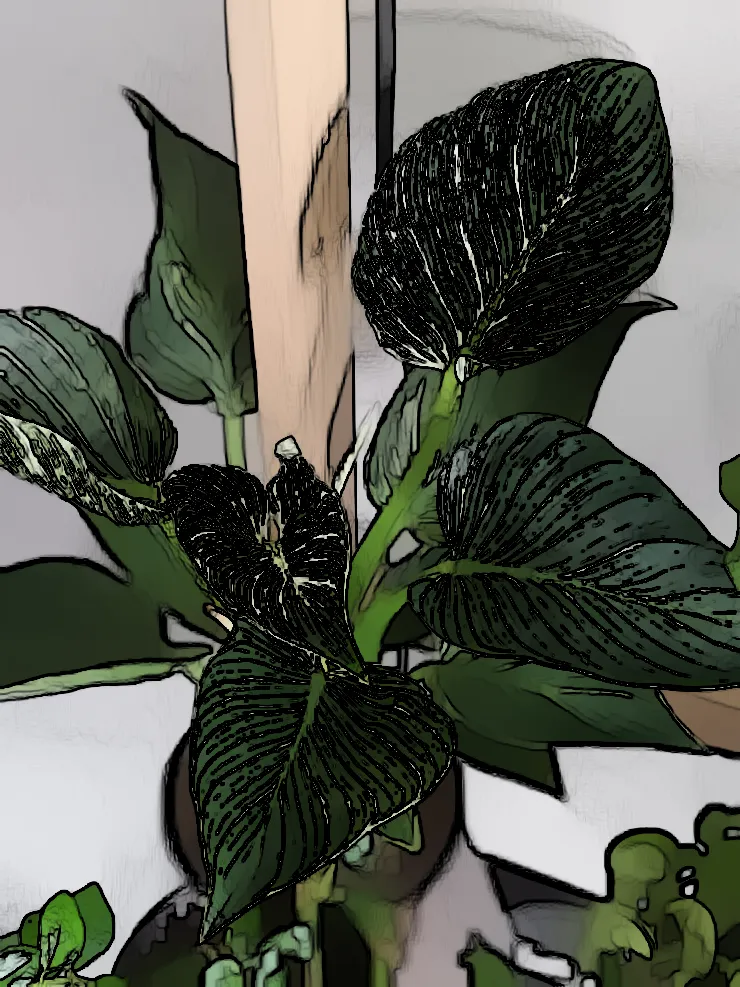 Birkin Plant Care: Tips for Growing Philodendron Birkin