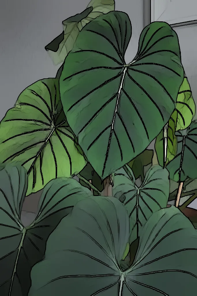 Gardening 101: How To Make Your Philodendron Gloriosum Shine