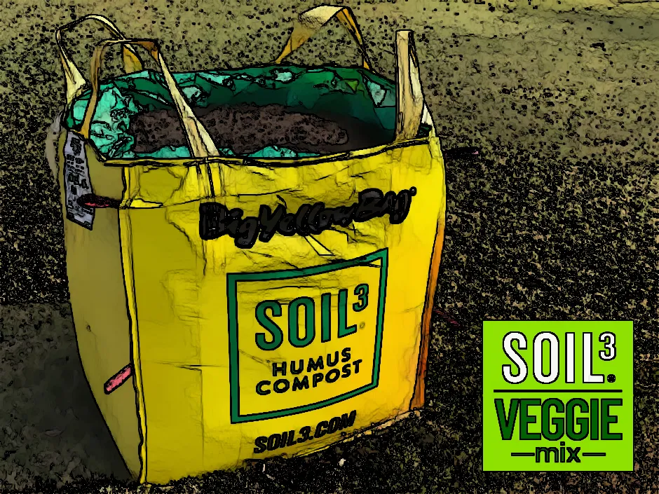 Get Ready for Spring! How A Top Soil Tonne Bag Delivered Can Make Your Garden Thrive