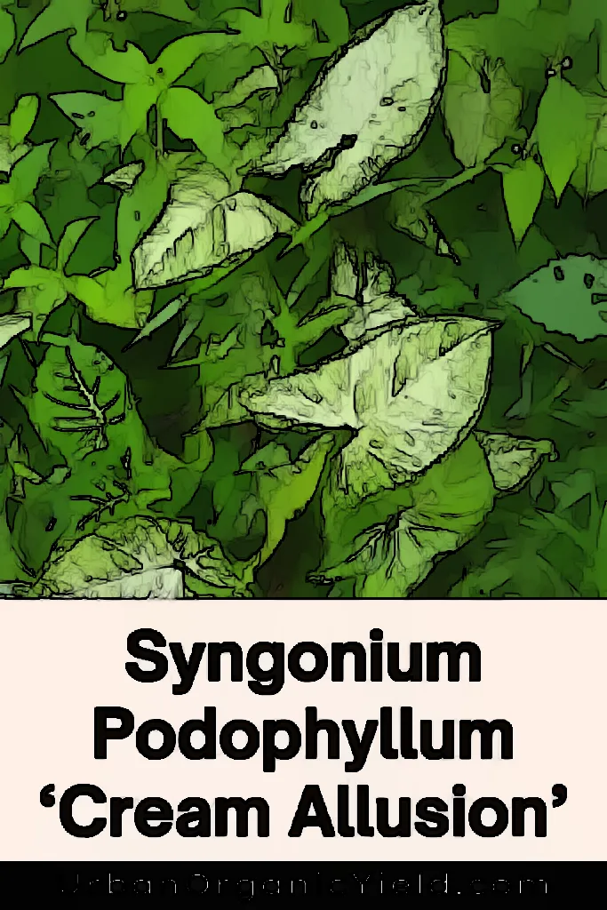 Grow These Exotic Syngonium Podophyllum Varieties in Your Garden