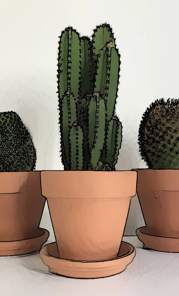 Mastering Indoor Cactus Care: Essential Techniques