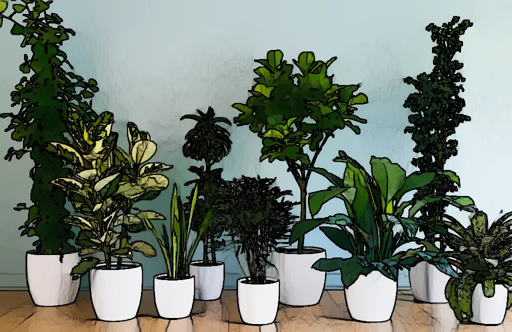 The Benefits of Adding More Oxygen-Producing Houseplants to Your Garden