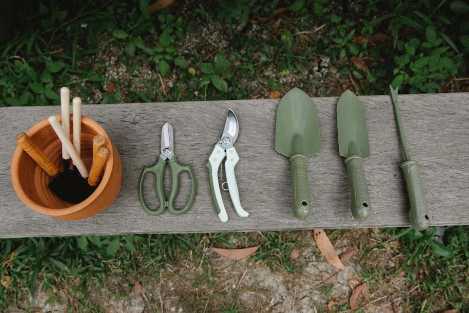 Essential Gardening Tools for Beginners: Cultivating Your Green Thumb